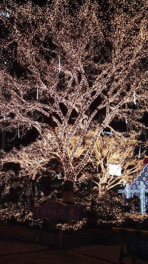 今の人間関係を前世から視てみます 過去世・前世占いをしっかりと視ていきます。 イメージ1