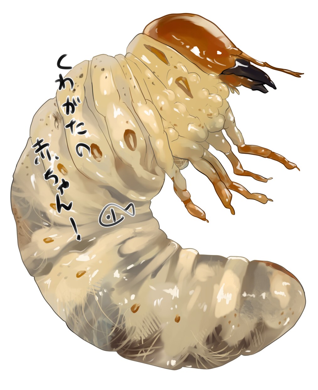 昆虫のイラスト描きます 子供がペットにしていた昆虫や、昆虫が好きな方のために描きます イメージ4