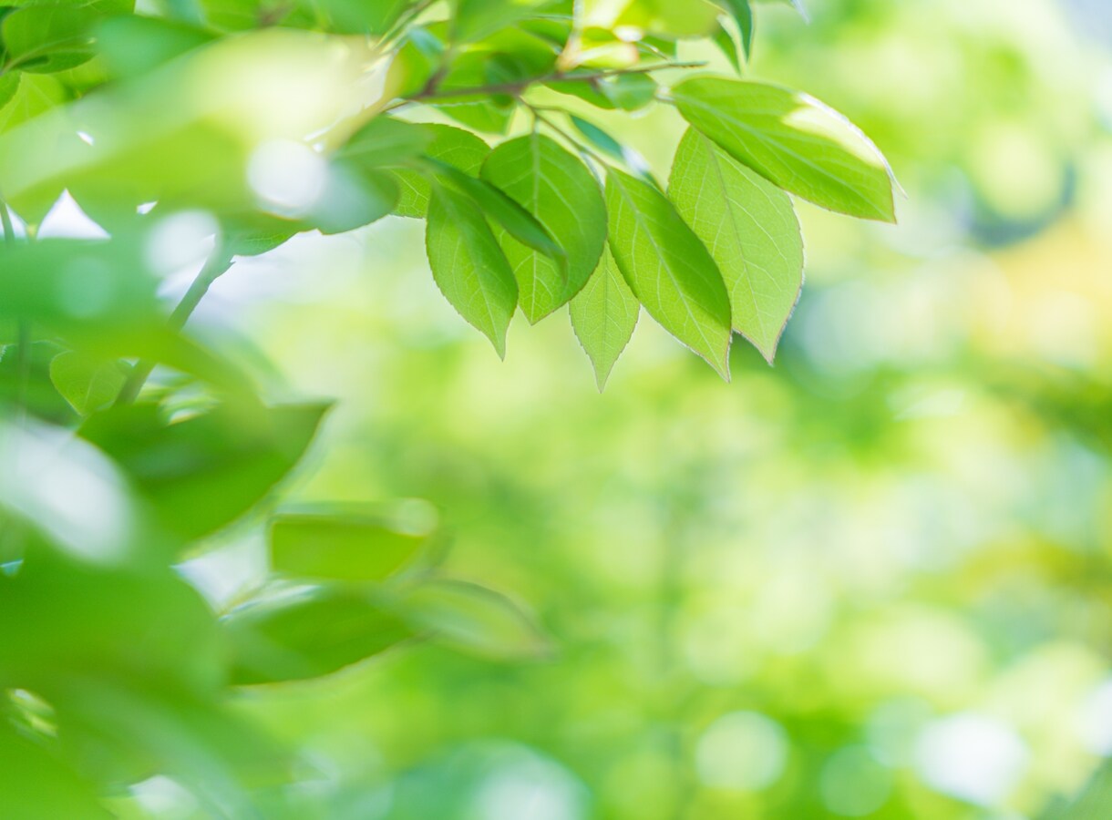 不倫・恋愛・離婚・占いの悩みを一緒に解決します 大切なお相手のお気持ち、貴女の今後の展開を丁寧にお伝えします イメージ6