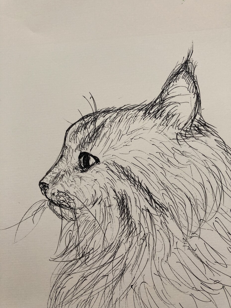 挿絵などに！味のあるイラスト描きます ペンや絵の具、クレヨンなどで手描きのイラストを制作します イメージ3