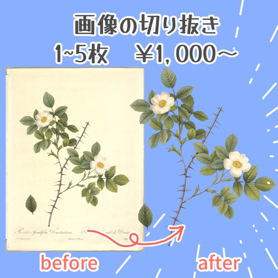 細かい画像も切り抜き・調整します 開設キャンペーン１０月まで低価格にてご案内。 イメージ2