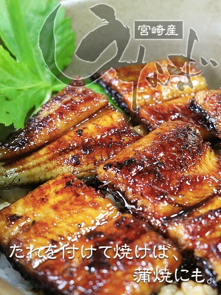 バナー制作いたします ECやネット広告用のバナー制作はEC経験豊富なプロにお任せ！ イメージ3