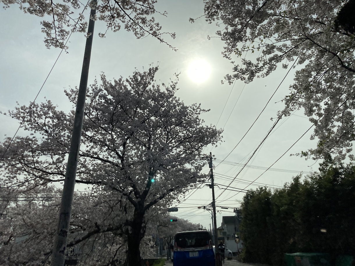 負のスパイダルにハマっているあなたを救い出します 琉球ユタがあなたに寄り添いお悩みをお聞き致します！ イメージ1