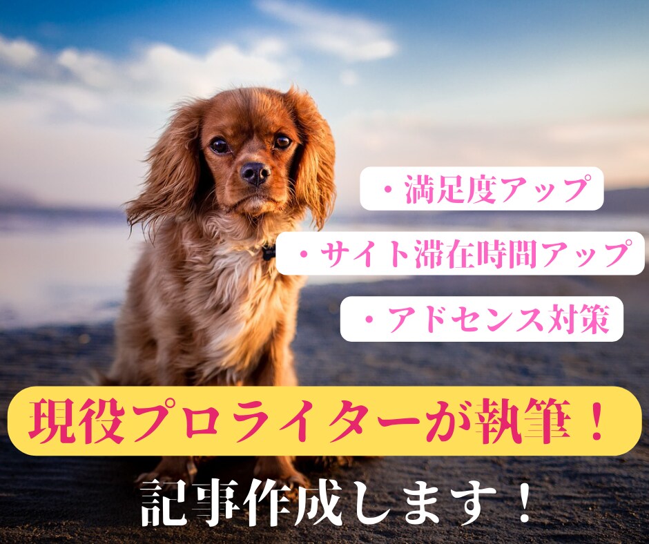 SEO、アドセンス対策◎ご希望のテーマ記事書きます 最安値です！1文字1.75円で素早く丁寧に納品します。 イメージ1