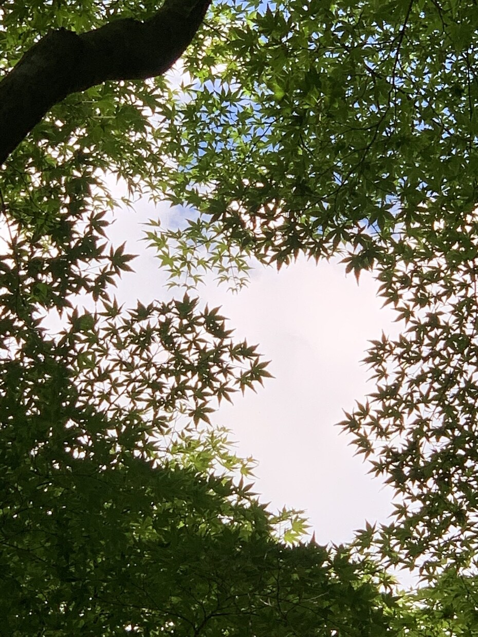 気軽にお話し感覚で悩み聴きます あなたの重荷を主に委ねよ。主はあなたを支えてくださる イメージ1