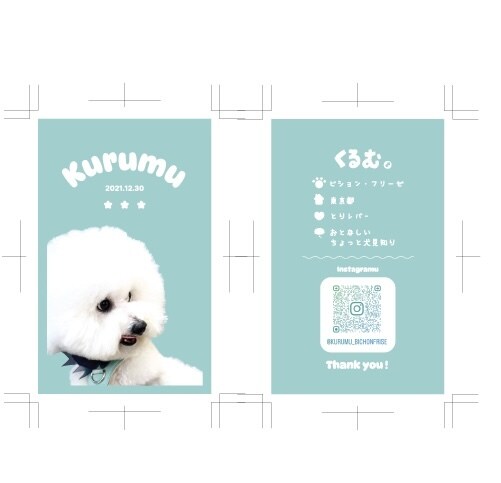 ペットの名刺作成します ペットの輪を広げたい！そんな需要にお応えします。 イメージ1