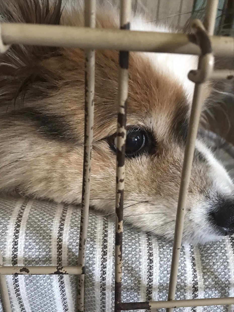 1分からでもOK！貴方からのお電話待ってます 大学生の僕がなんでもお話し聞きます。 イメージ3