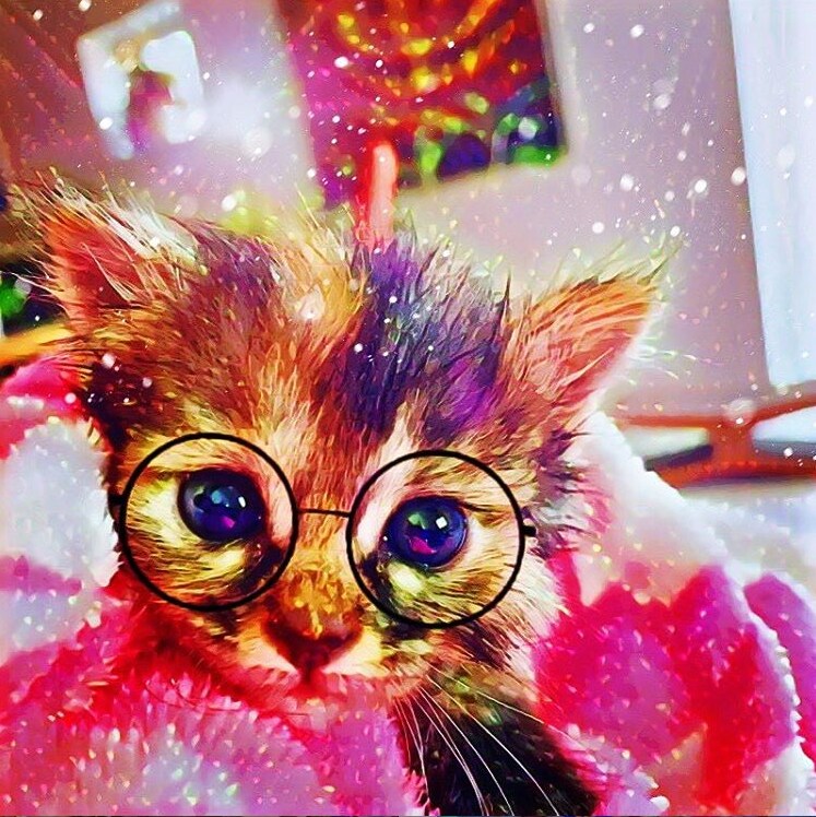 猫ちゃんのお写真から素敵なイラスト作成します オリジナルアートからグッズ化も可能です イメージ4