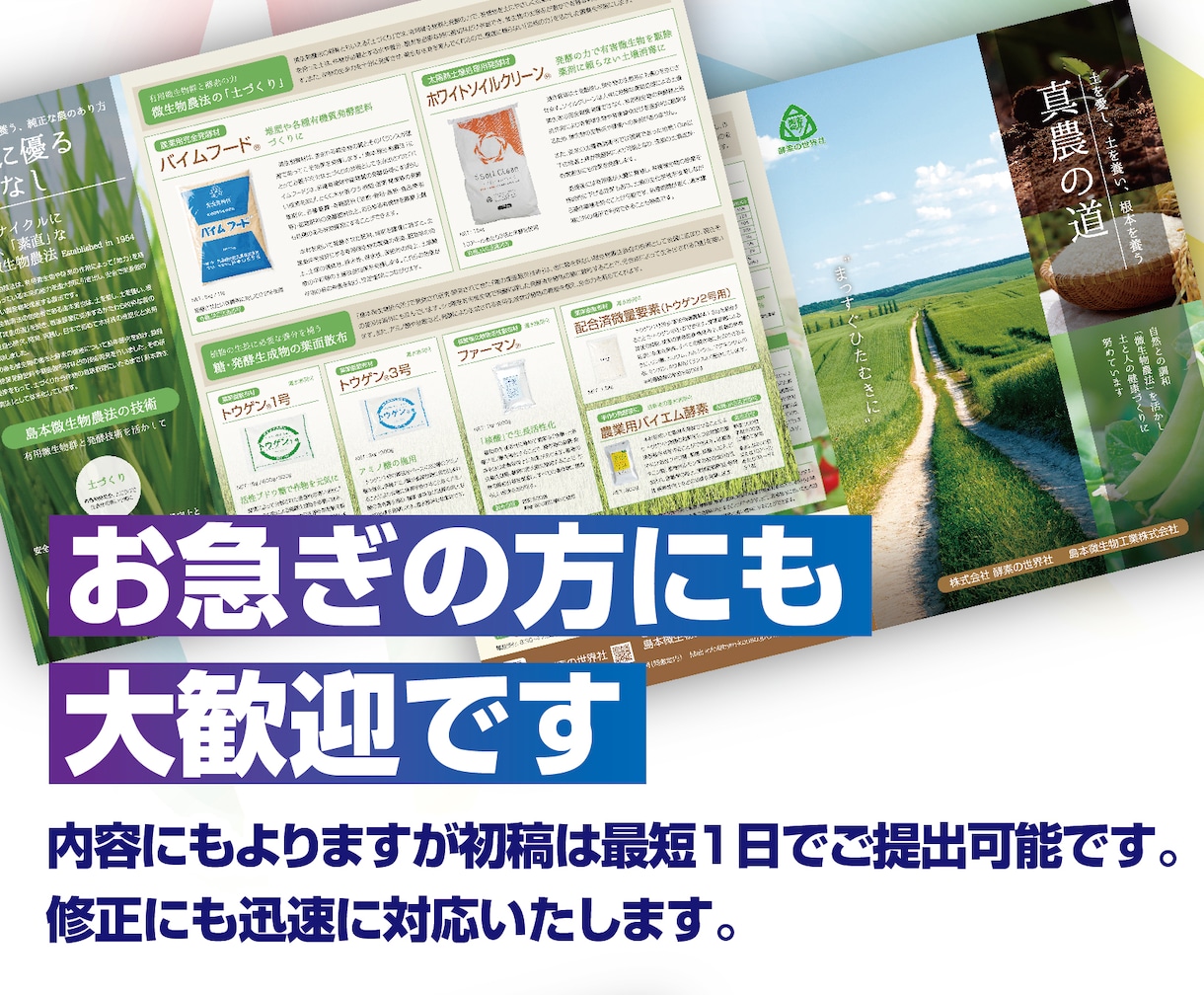 魅力を引き出すパンフレットを製作します 第一印象を左右するパンフレットをわかりやすく丁寧に イメージ3
