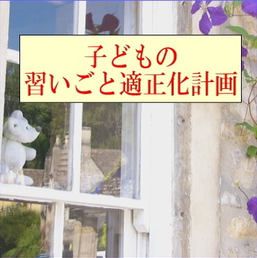 中学受験など、子どもの習い事の適正化計画します 特に、中学受験をする/ しないの判断について支援します イメージ1