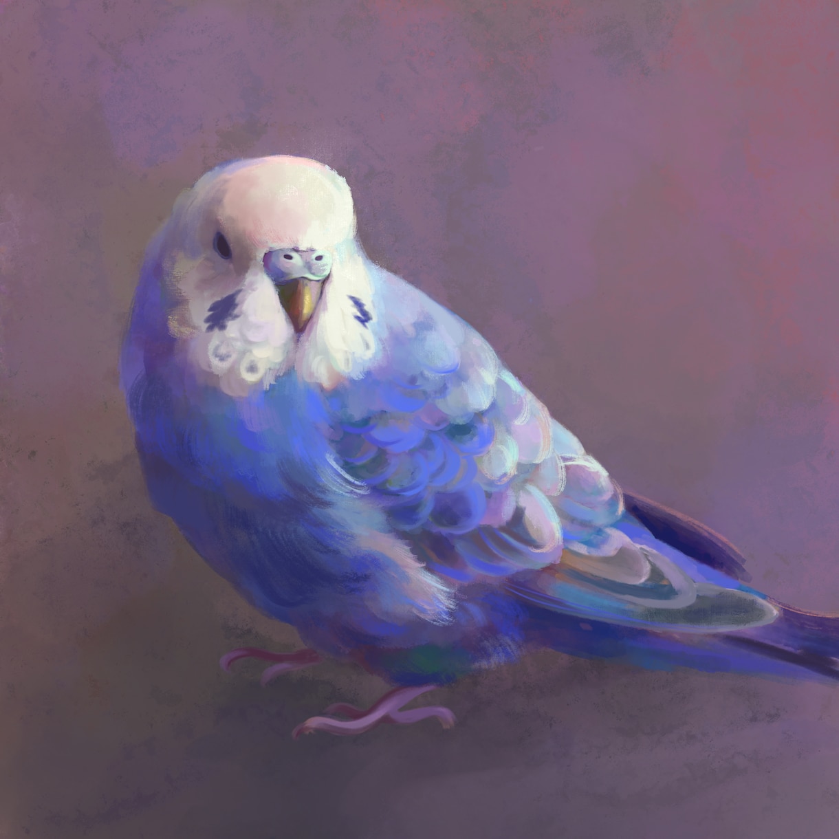 かわいいインコのイラストを描きます インコなどの鳥さんのリアルな絵を作りたい方に イメージ2