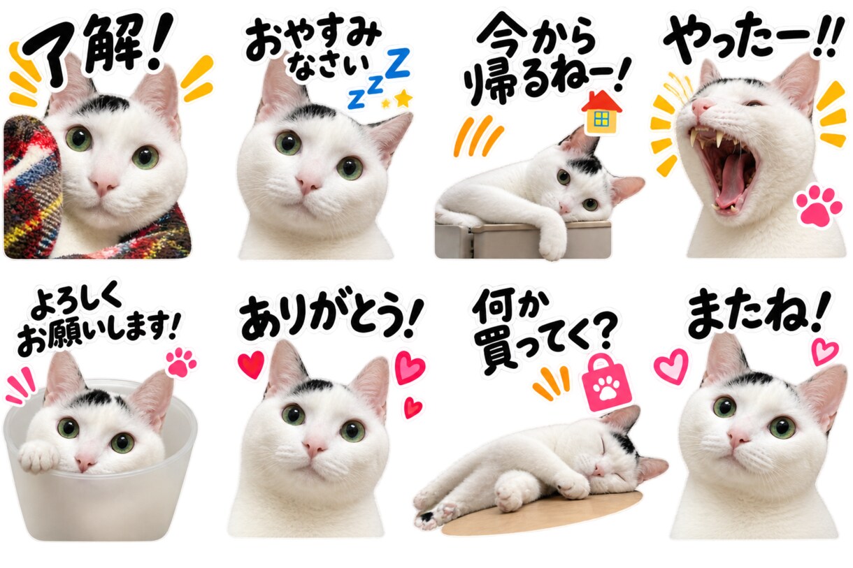 生成AIでオリジナル画像キャラクターを制作します ふわっとしたイメージから、あなただけのキャラクターを。 イメージ8