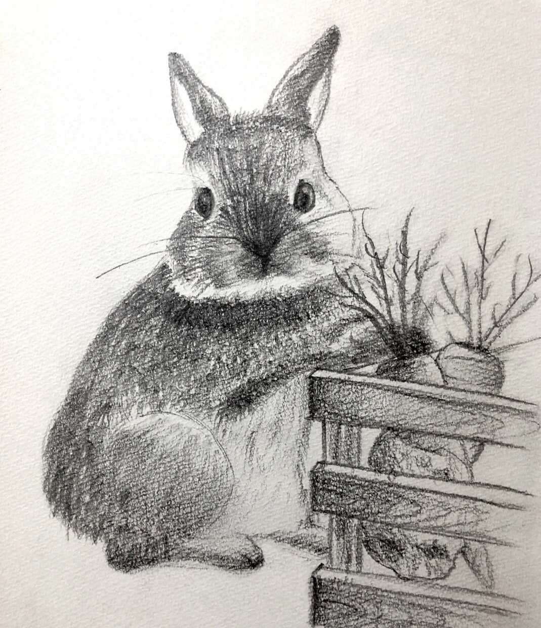 ペット等動物のデッサン、イラストお描きします 大切な家族の思い出を絵に残しませんか？温かい絵お届けします。 イメージ3