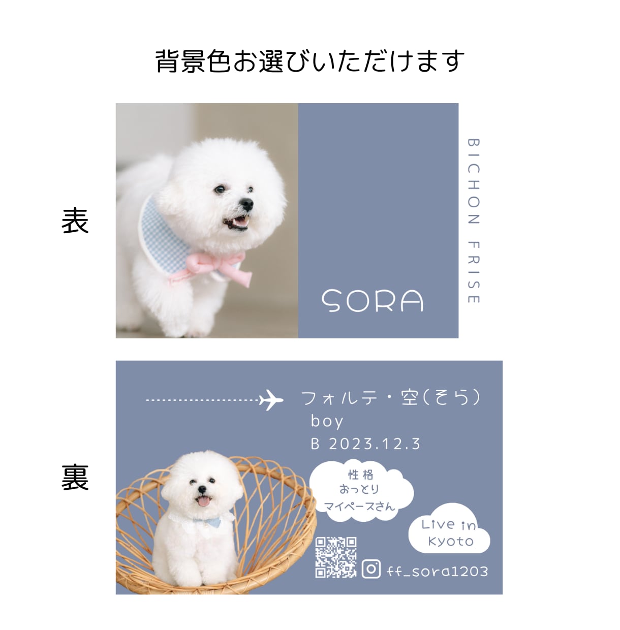 シンプル可愛い『うちの子名刺』を作成します ペットイベントやお散歩中の交流にぴったり！ イメージ4