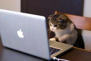 人気ブログランキングアップを応援致します 自身のブログをより多くの方に見て頂きたいアナタに イメージ1