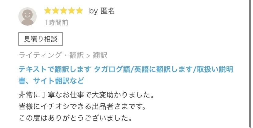 テキストで翻訳します タガログ語/英語に翻訳します/取扱い説明書、サイト翻訳など イメージ5