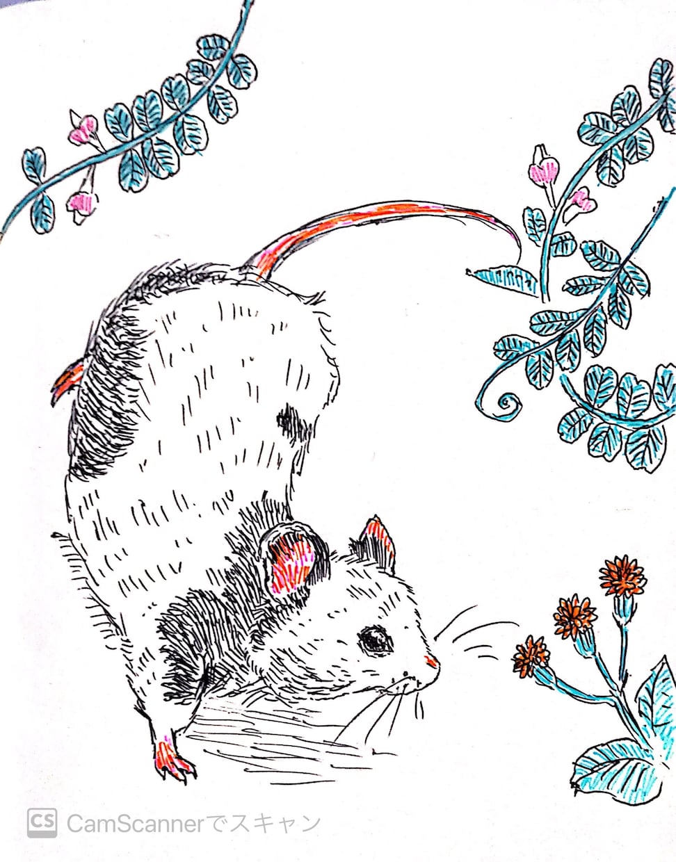 動植物や虫を描きます ボールペンならではの味わいをお楽しみください イメージ8