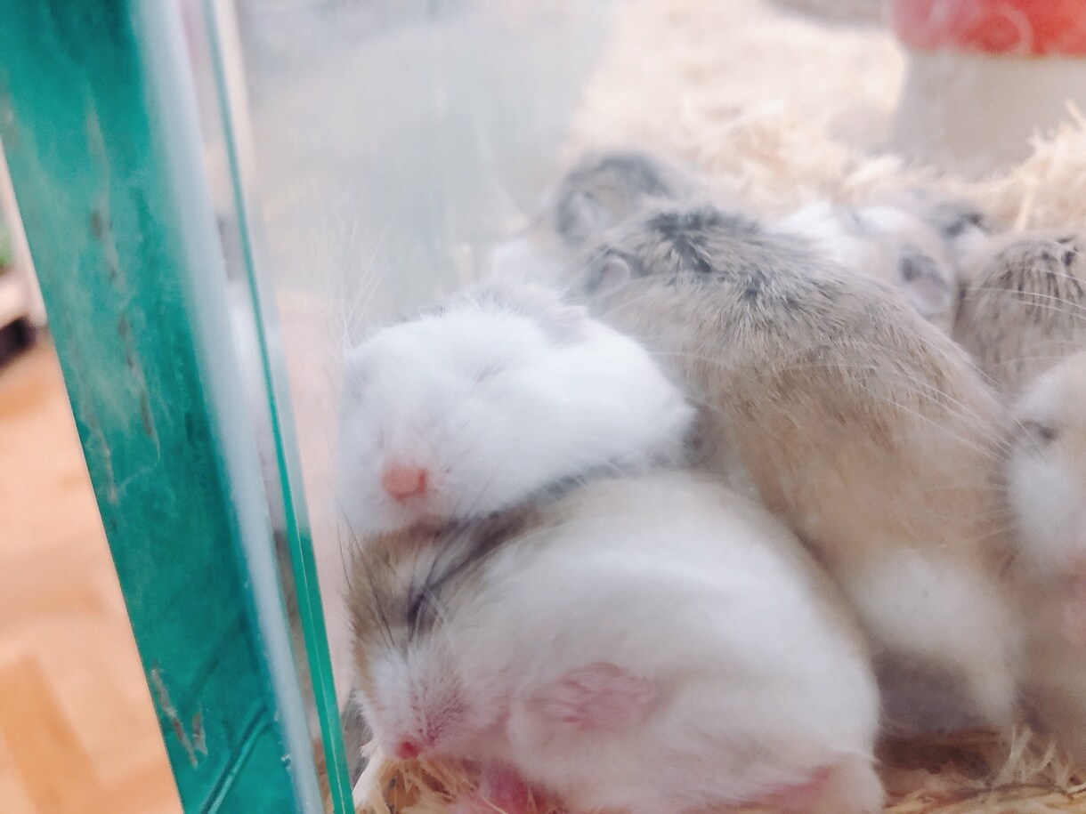 ちょっと聞いて欲しい心のモヤモヤ話、私が聞きます 悩み相談や、日頃のモヤモヤを吐き出しませんか？？ イメージ3