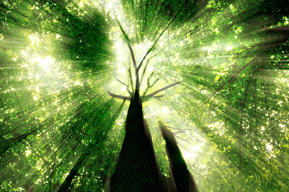 私の人生このままでいい？停滞の原因を霊視します 仕事・人間関係・漠然とした不安｜噛み合わない人生の理由を視る イメージ8