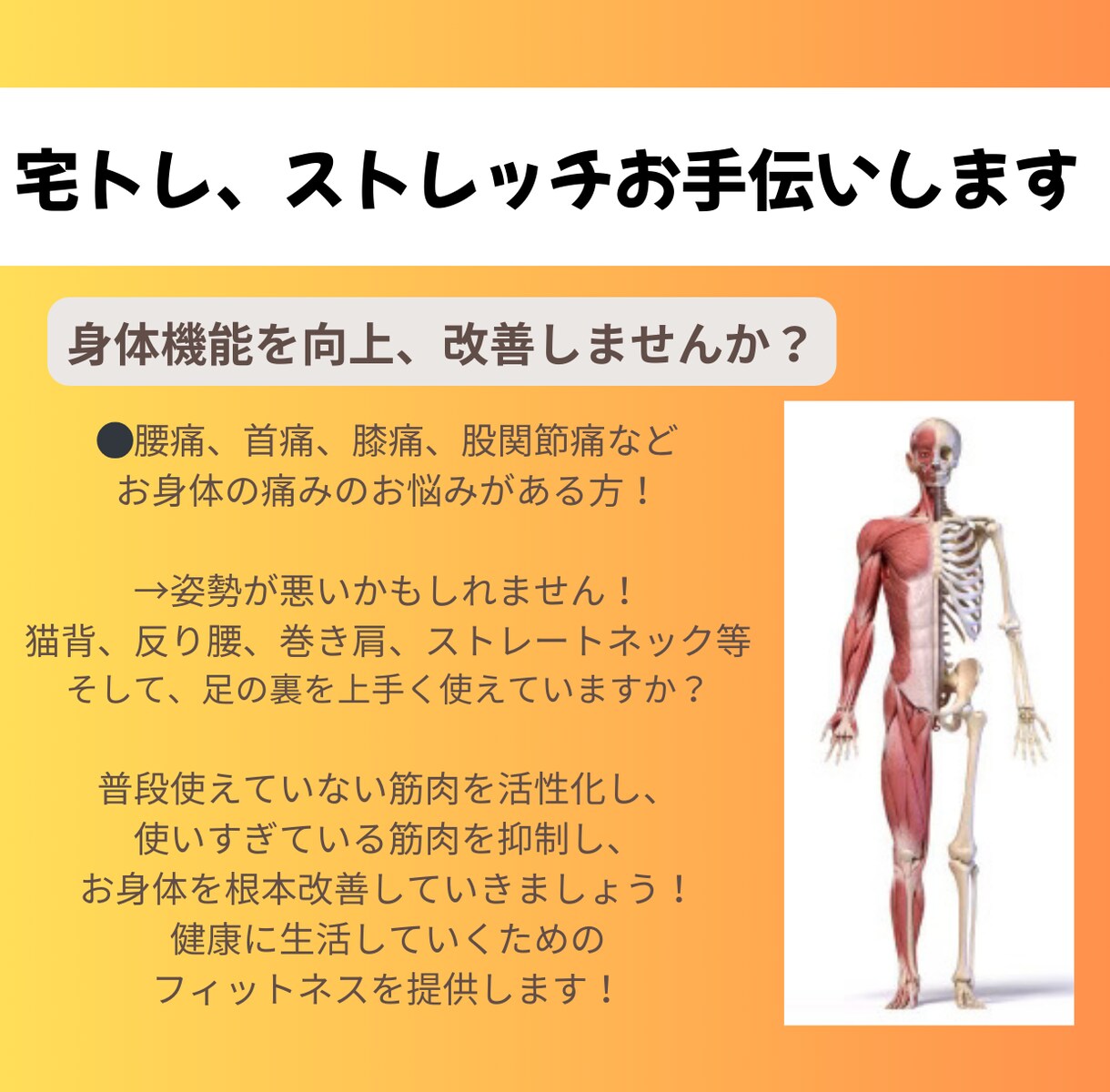 オンラインで身体機能改善パーソナルを提供します 隙間時間でできる！オーダーメイドのストレッチとトレーニングを イメージ1