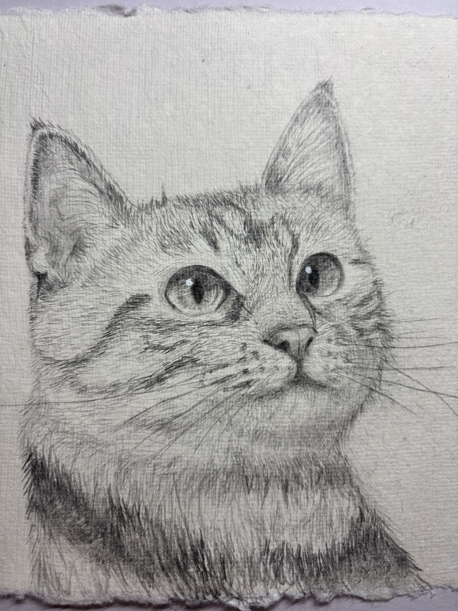 大切な人の記念に！リアルな鉛筆画オーダー承ります 画歴は短いですが、その分どこよりも真剣に描きます イメージ1