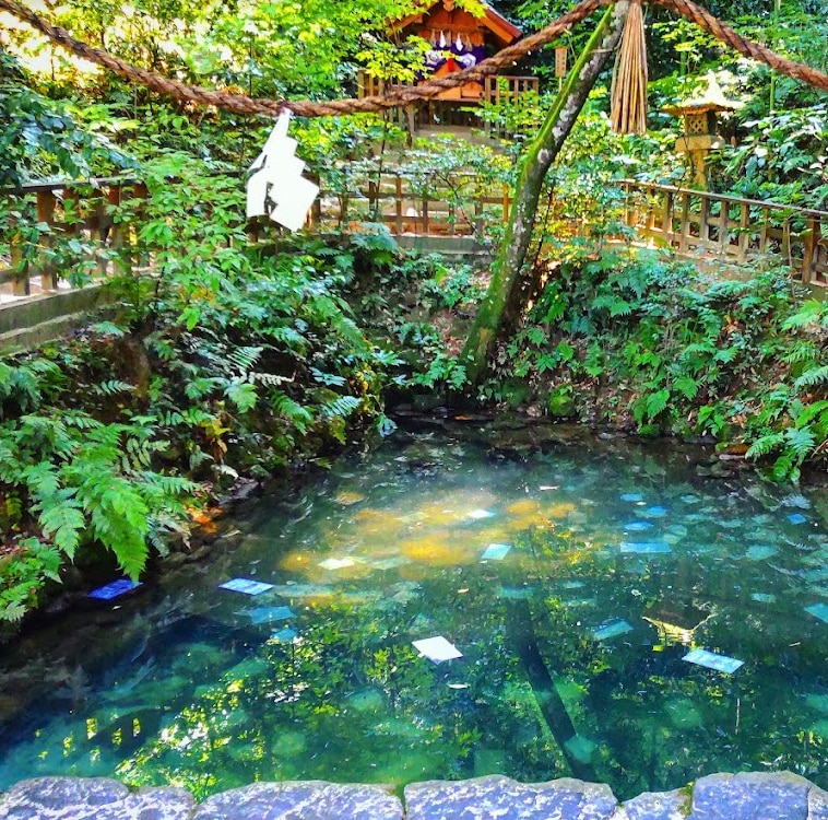 八重垣神社に参拝し良縁成就の祈願を代行します 朝ドラばけばけの聖地/セツとハーンの起点　良縁透視の鏡の池も イメージ2