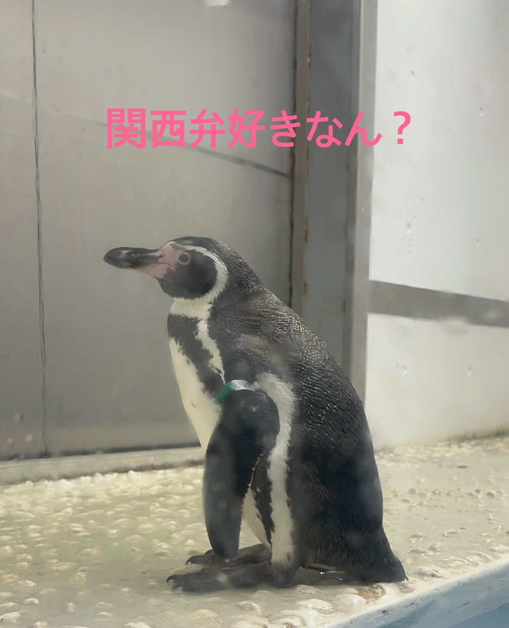 関西弁がいいよって方には関西弁で話します 優しい関西弁でお話しします╰(*´︶`*)╯♡ イメージ1