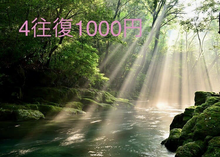 しんどい気持ち、何でも、心を込めてお返事致します 4往復のメッセージやり取りになります。安心してお話し下さい。 イメージ1