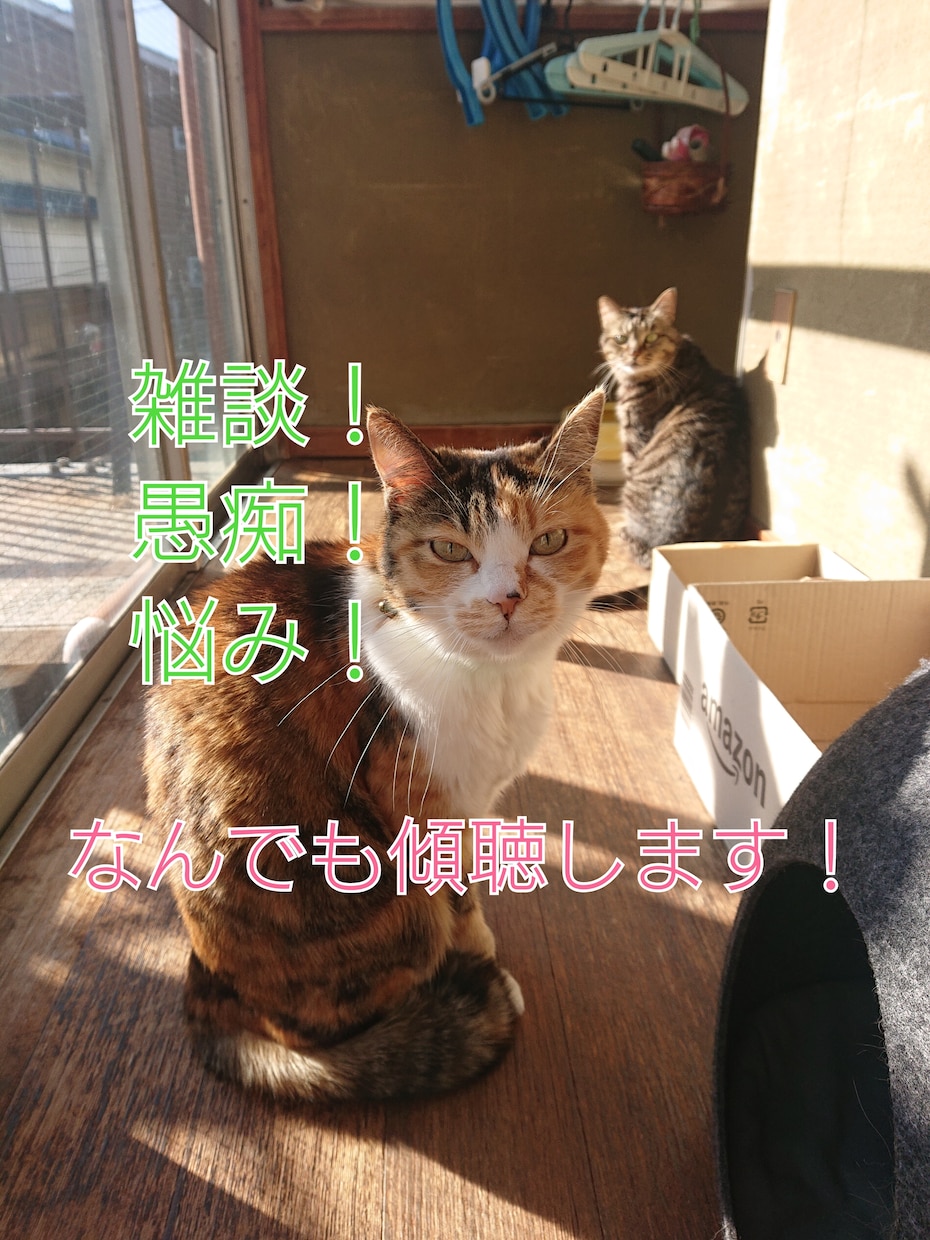 あなたの誰にも言えないお話、しっかり受け止めます 人に言えない秘密、守秘義務を遵守してお話聴きます。 イメージ1