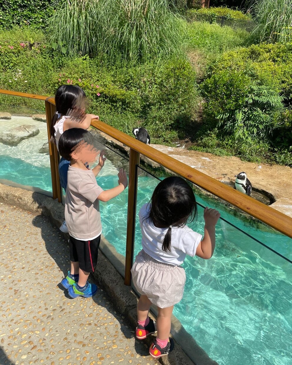 育児こうやったら良かった！を教えます 3人年子育児、育児の困ったをどう乗り越えたか！ イメージ1