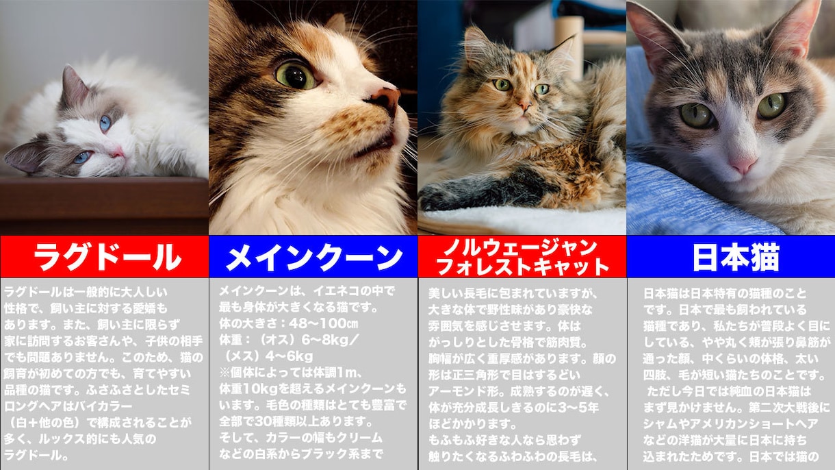 YouTubeサムネ2枚1000円制作します A/Bテストで反応を比較！YouTubeサムネ2枚セット イメージ6