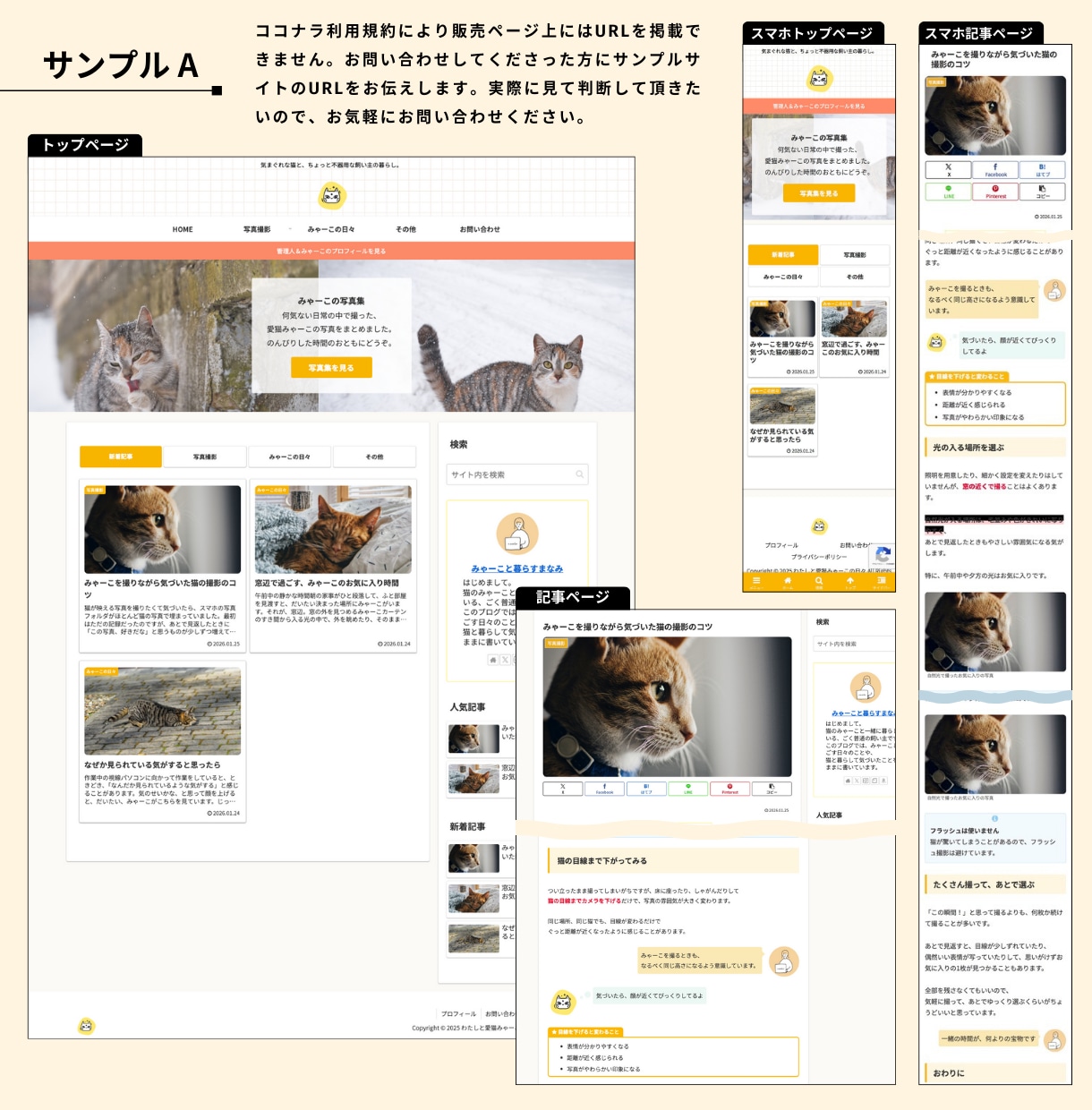 CocoonでWordPressブログを制作します 初期セットアップを全てお任せ。記事を書き始められる状態で納品 イメージ2
