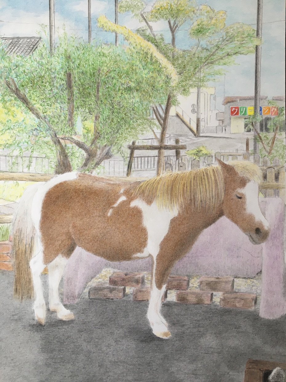大切なペットを色鉛筆等で描かせて頂きます 可愛いペットを出来るだけ忠実に描かせて頂きます。 イメージ5
