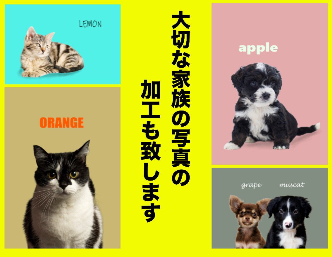 大切な家族の写真をおしゃれにデザイン加工します 思い出の1枚を、世界にひとつだけのアート写真に イメージ1