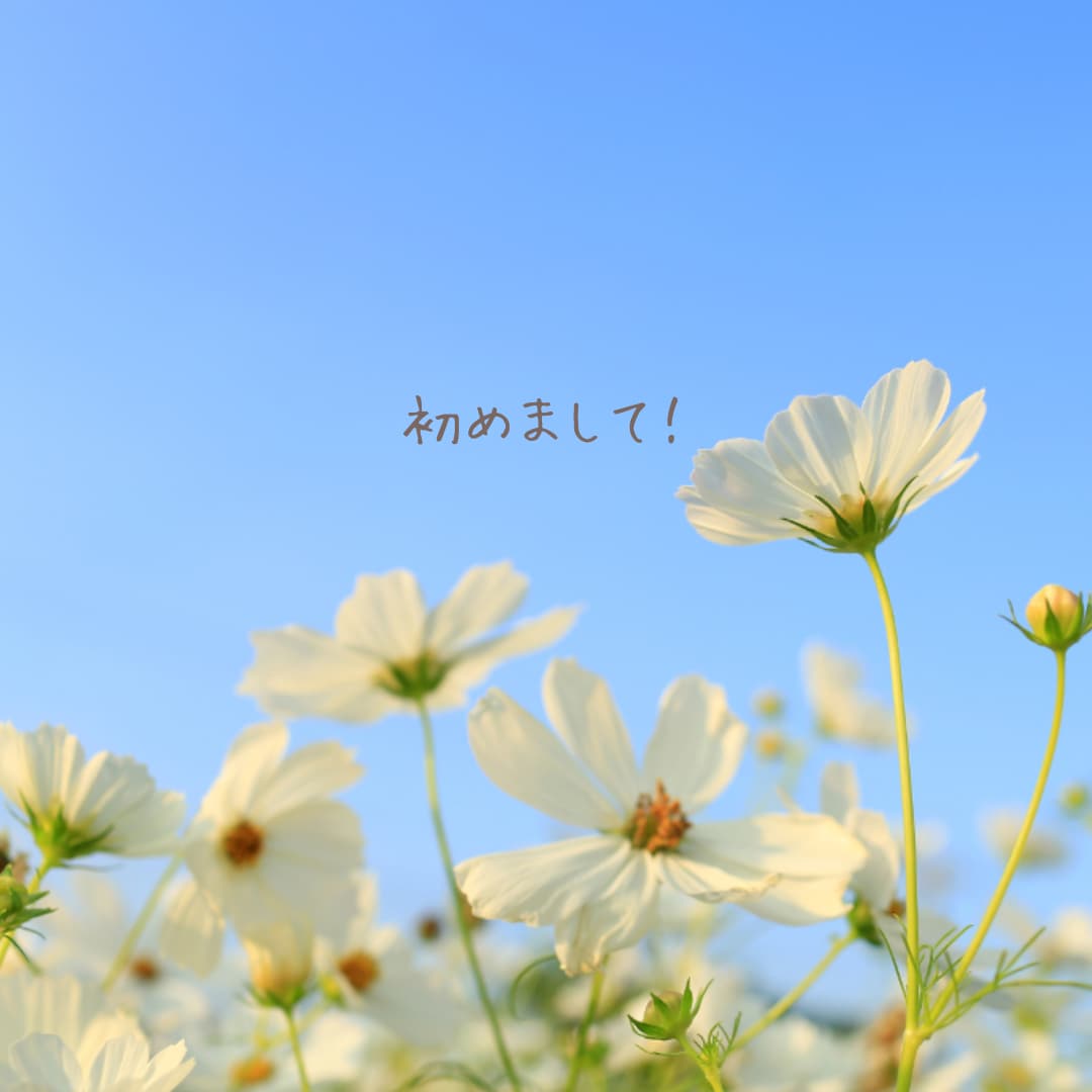 チョットでも♪会話で心の栄養補給✨笑顔で迎えます 男女OK！相談・愚痴・雑談・何でも♪安心して話せる場所☘️ イメージ2