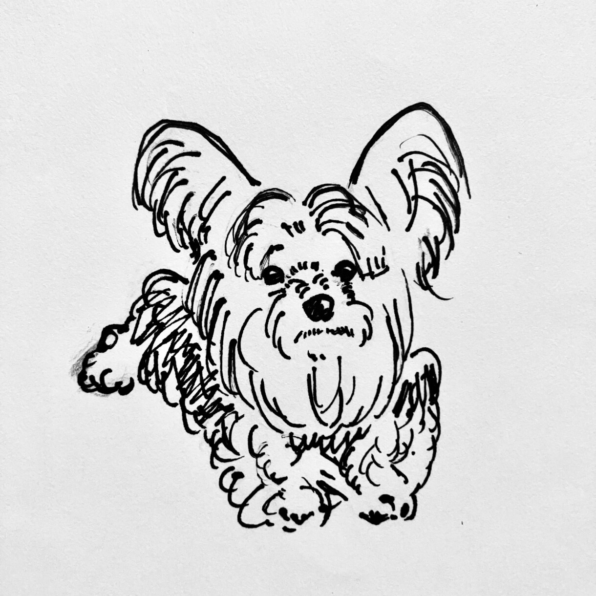 ゆるくて可愛いペットイラスト描きます ラフで愛着のある1枚をお届けします。 イメージ1