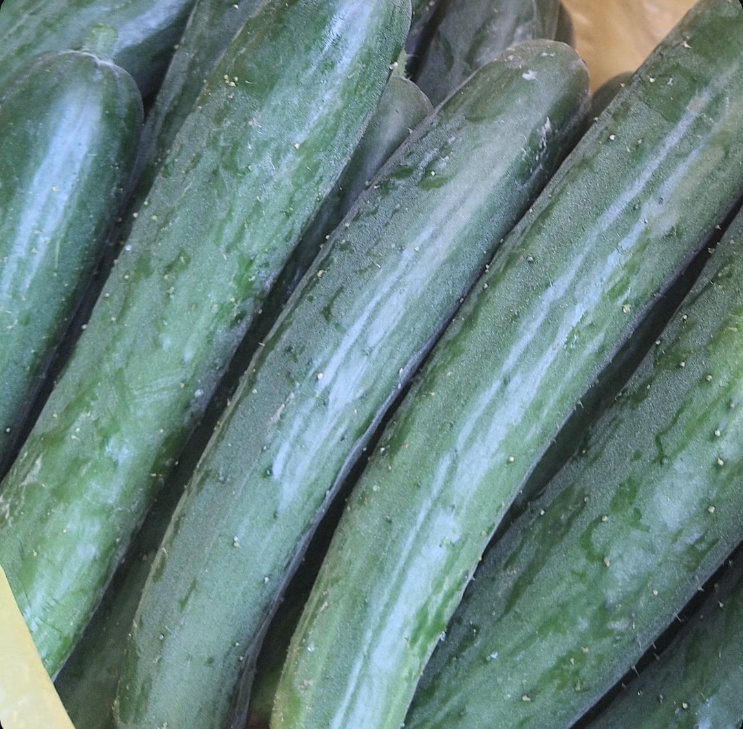 家庭菜園、畑、植木のご相談承ります 野菜、植木農家の経験を活かしサポートします。 イメージ3