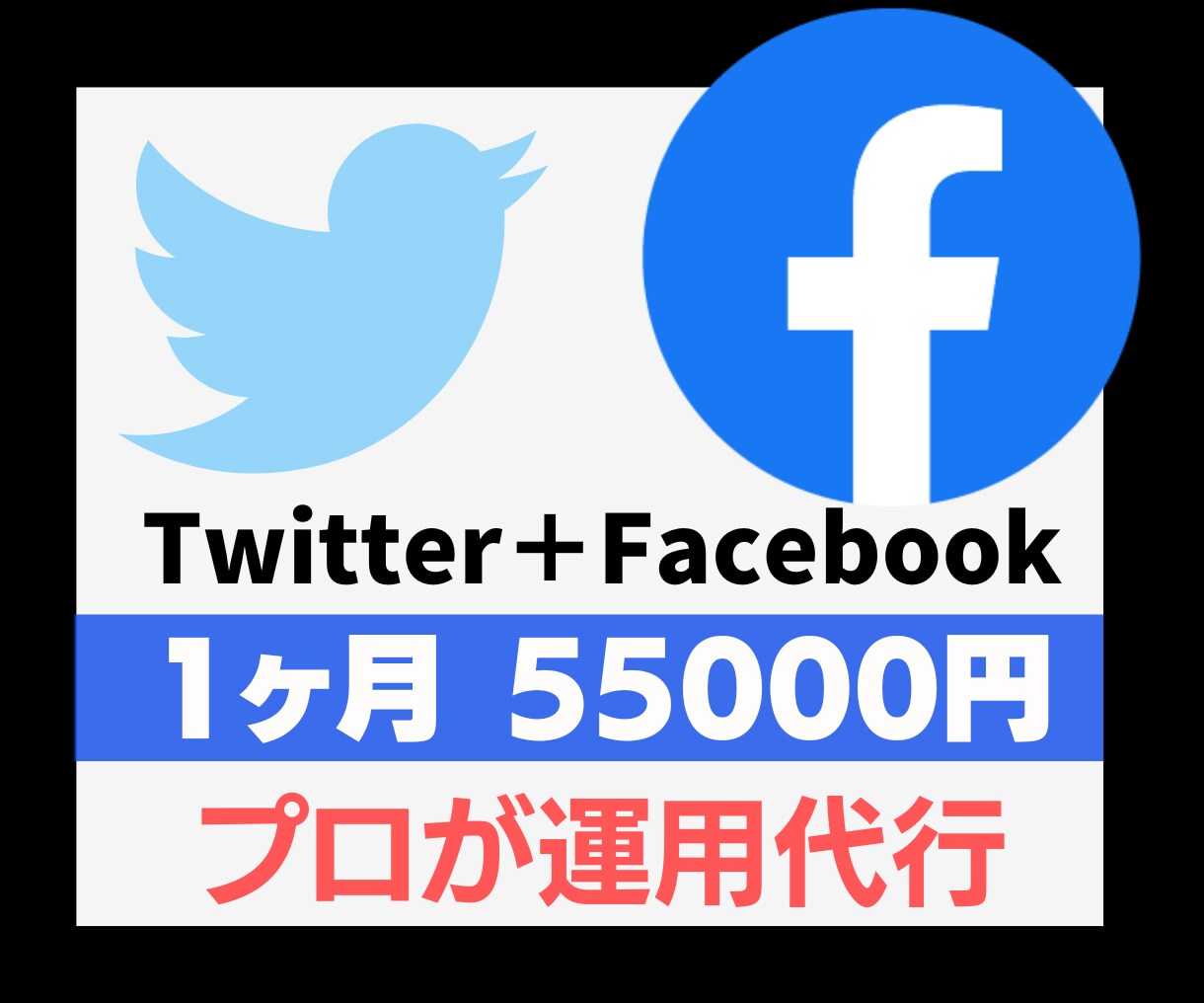 TwitterとFacebookの運用代行します 「属性が違う2つのSNSを使うことでより効果を発揮します」 イメージ1