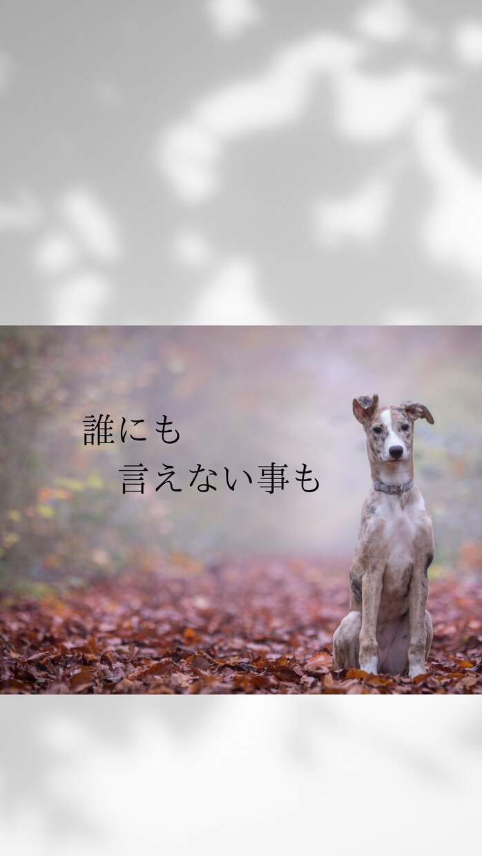 誰かに気持ちを打ち明けたい方の想いを受けとめます チャットでお気軽にお話し下さい。 イメージ2