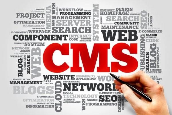 Webサイト運営を楽にするCMS開発をします 多種多様のCMSで対応可能！！どれが良いのかの相談も可！！ イメージ1