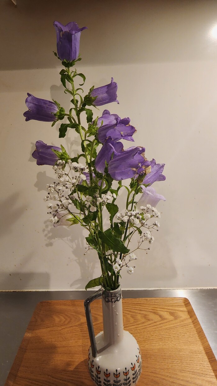 お花などを中心的に撮ってます 道端の花も野花であれば雑草でもある イメージ3