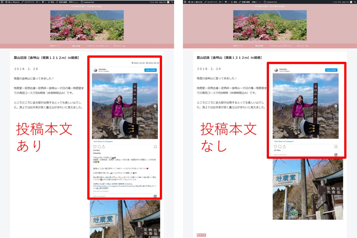 インスタグラムの投稿一覧を設置します サイトの可能性を広げる一助になれればと思います イメージ3