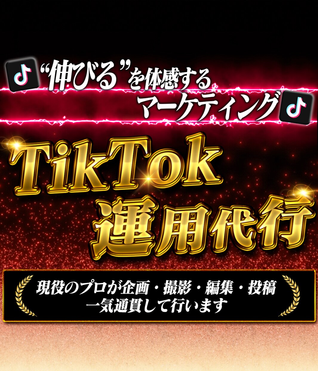 数十万人のプロが運用します 現役のプロがTikTokを完全運用でサポート イメージ1