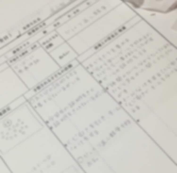 保育学生の指導案、実習記録のサポートします 眠れない量の記録、現役保育士がお手伝いします☆ イメージ3