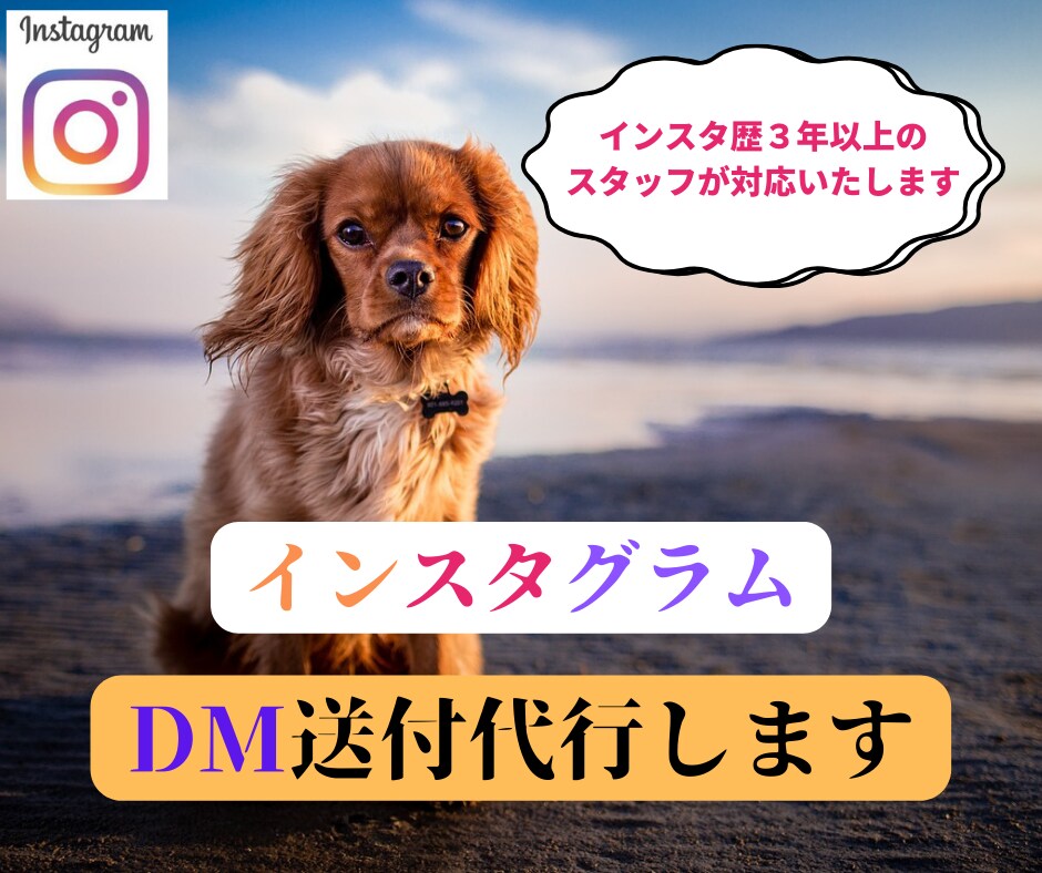 インスタグラムのDM200通を送付代行いたします 重要なダイレクトメッセージを手作業でユーザー様にお届けします イメージ1