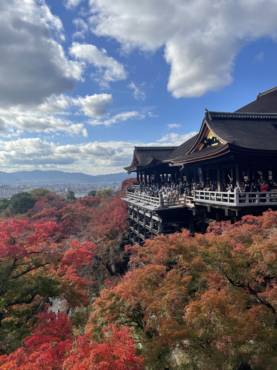 国内旅行* 一人一人にあった旅行の日程作成をします 現役ツアープランナーに国内旅行おまかせください！ イメージ1