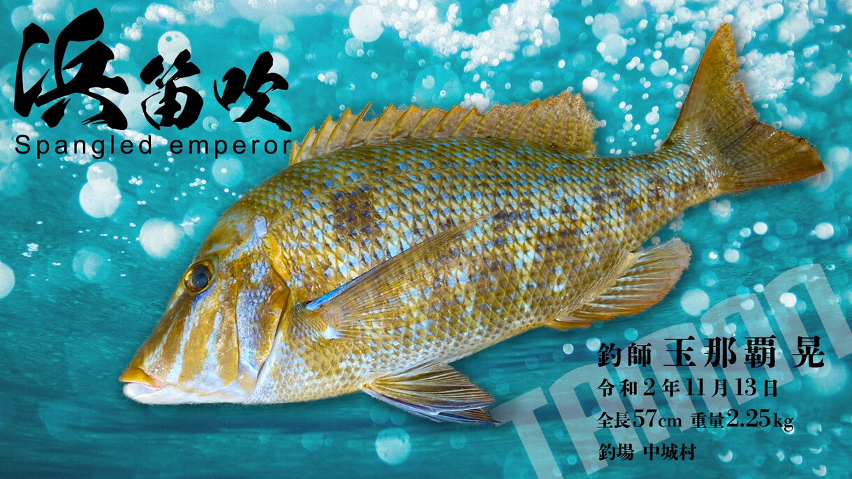 釣り人向けの魚拓動画制作いたします MOVIE GYOTAKU／デジタル魚拓 イメージ1