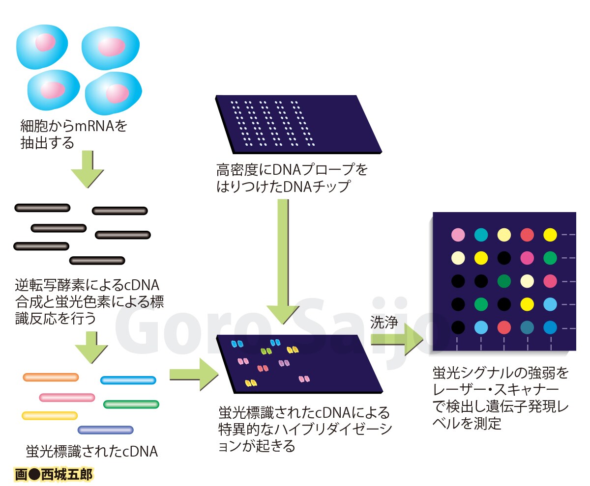 解説イラスト描きます ビジネス、プレゼン、出版物、映像などにどうぞ！ イメージ8