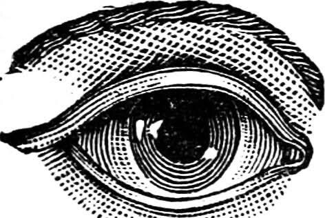 あなたの悩みを解決へ導きます 迷える情報発信者へ、最高の立て直しを イメージ1