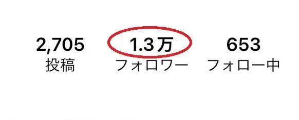 インスタ日本人女性フォロワー＋50増加拡散します 高品質■インスタの日本人女性フォロワー50名増やします イメージ2